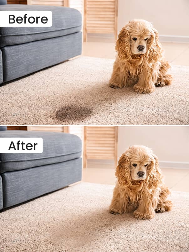 Before After